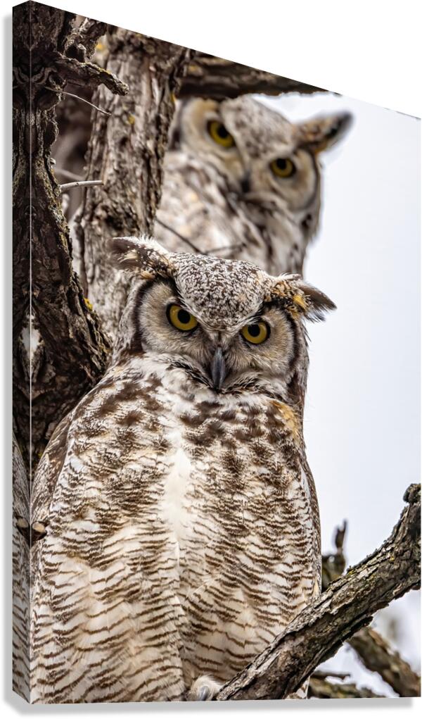 GHO Double Canvas Print