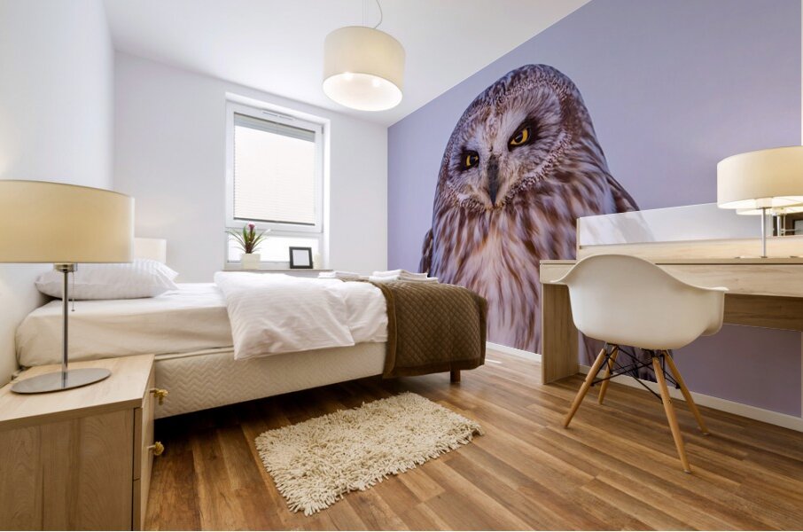 SEO Sunset Mural print