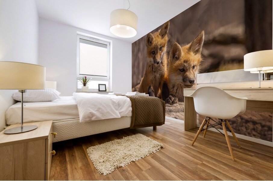 Red Fox Kits Mural print