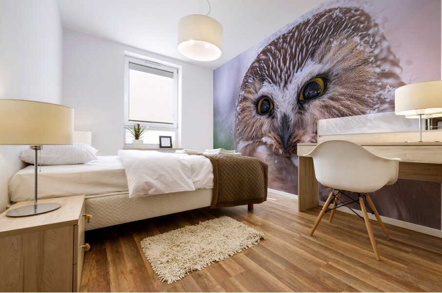 Saw Whet Owl Mural print