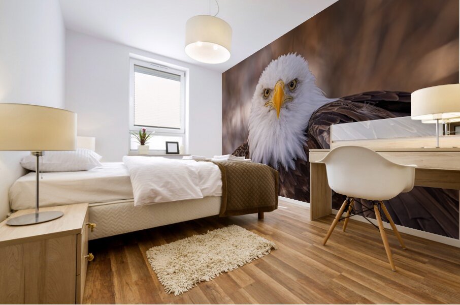 Bald Eagle Portrait Mural print