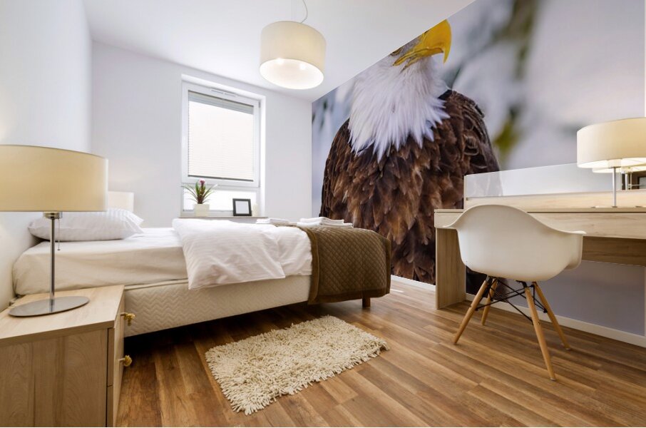 Bald Eagle Winter Mural print