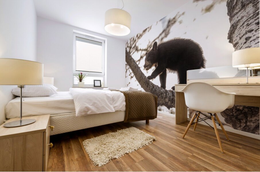 Black Bear Cub 2 Mural print