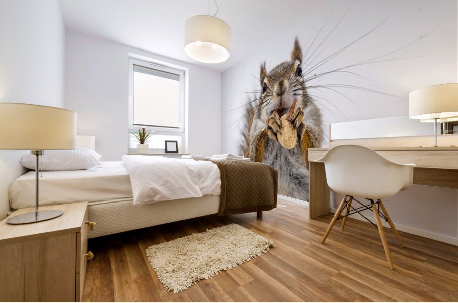 Red Squirrel Mural print