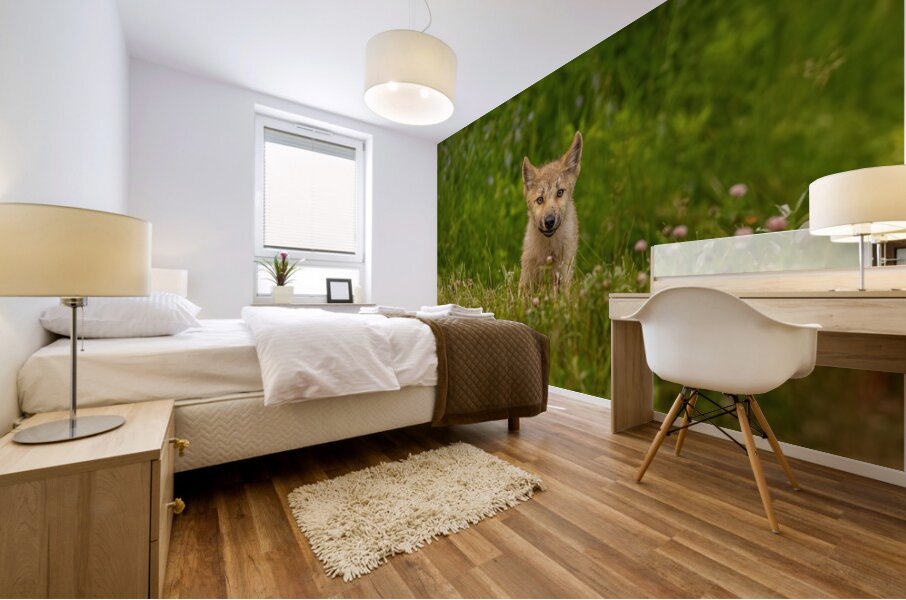 Wolf Pup Mural print