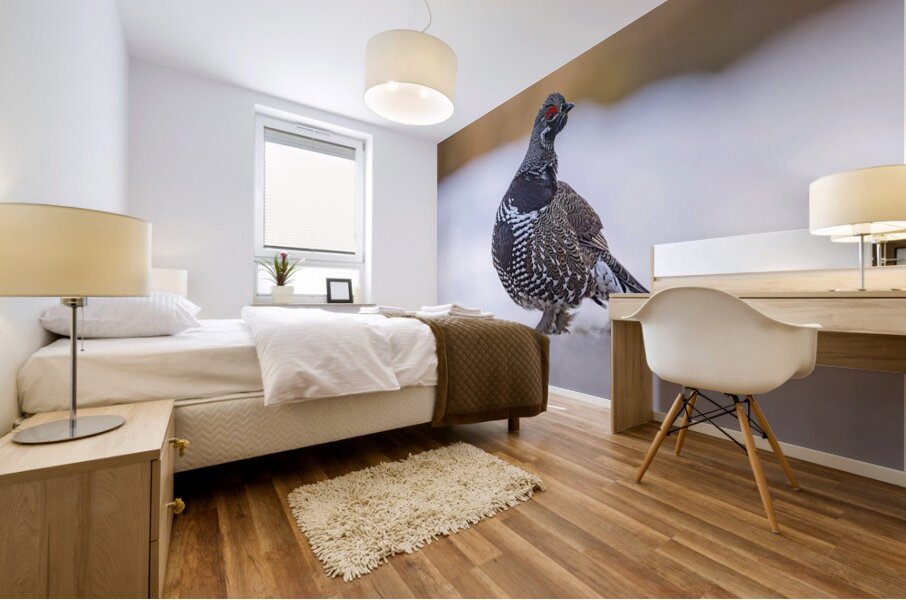 Spruce Grouse Mural print