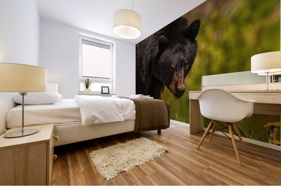 Black Bear Mural print