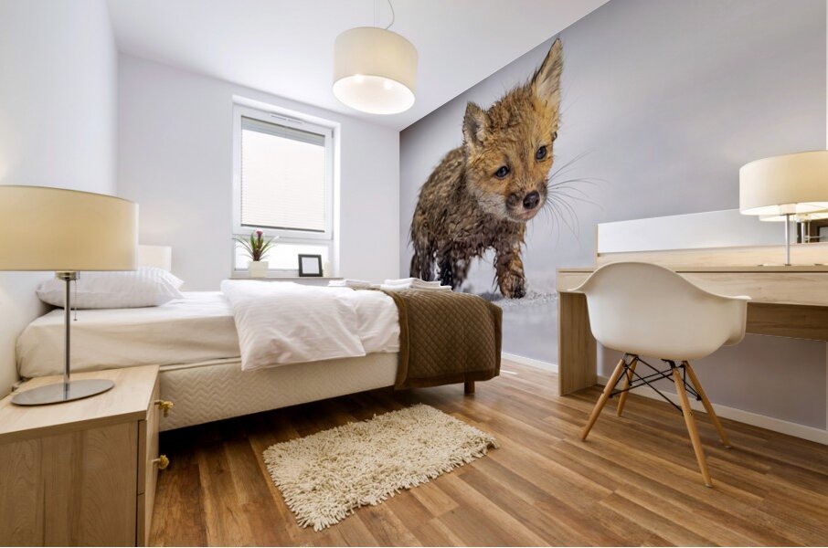 Braveheart Mural print