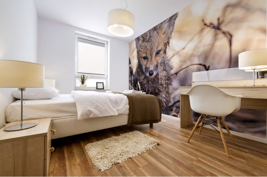 Braveheart 2 Mural print