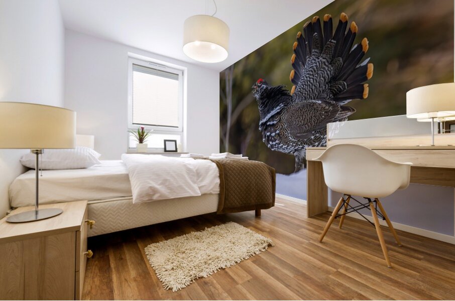 Spruce Grouse 2 Mural print
