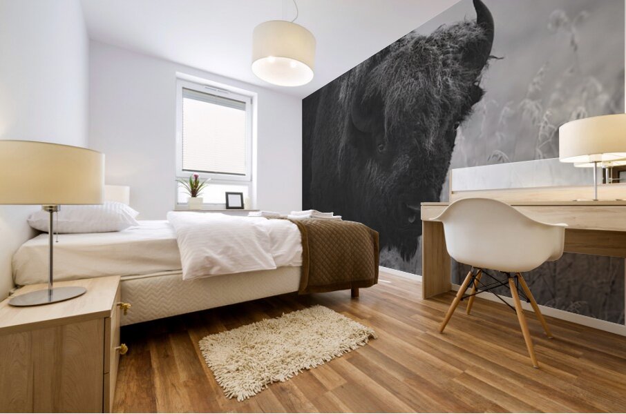 Bison BW Mural print