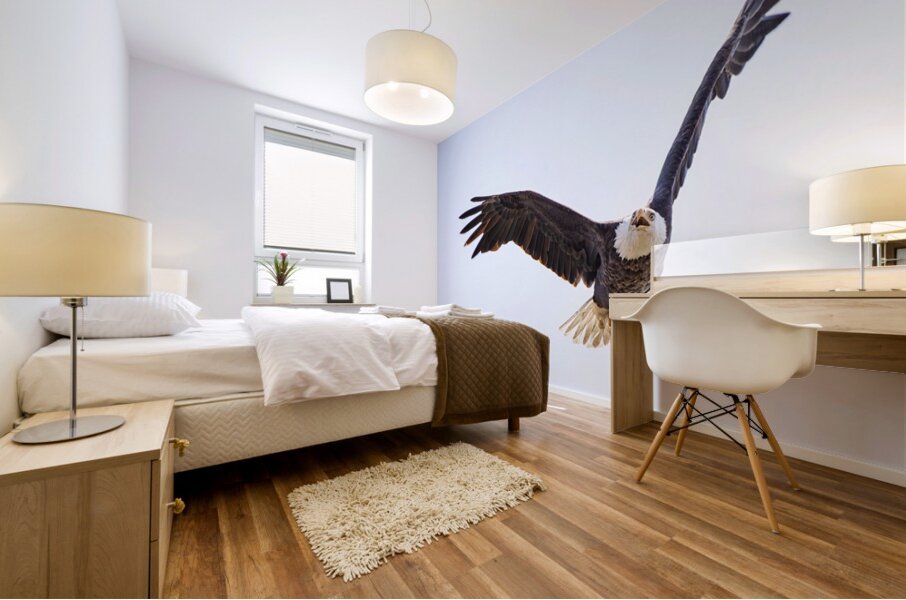Bald Eagle Mural print