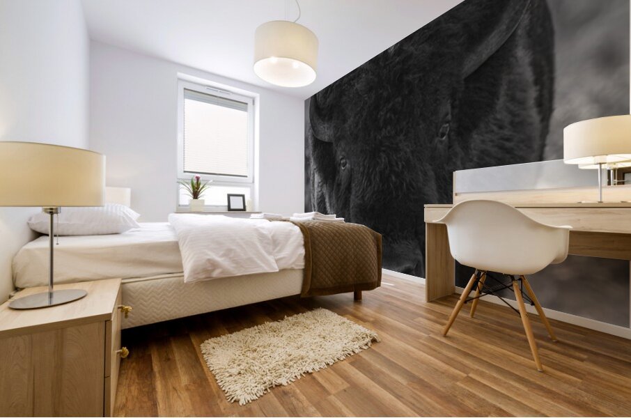 Bison BW 2 Mural print