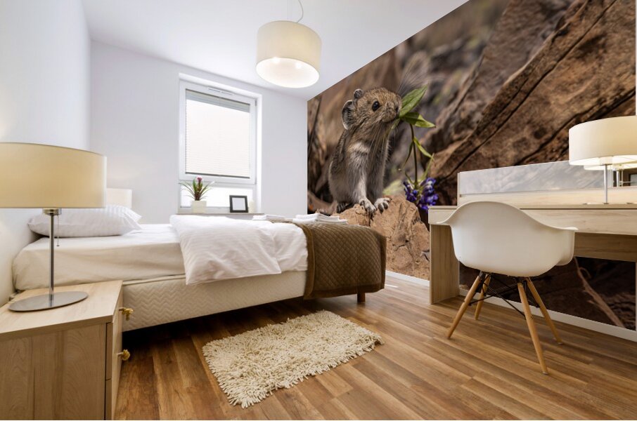 Cute Pika Mural print