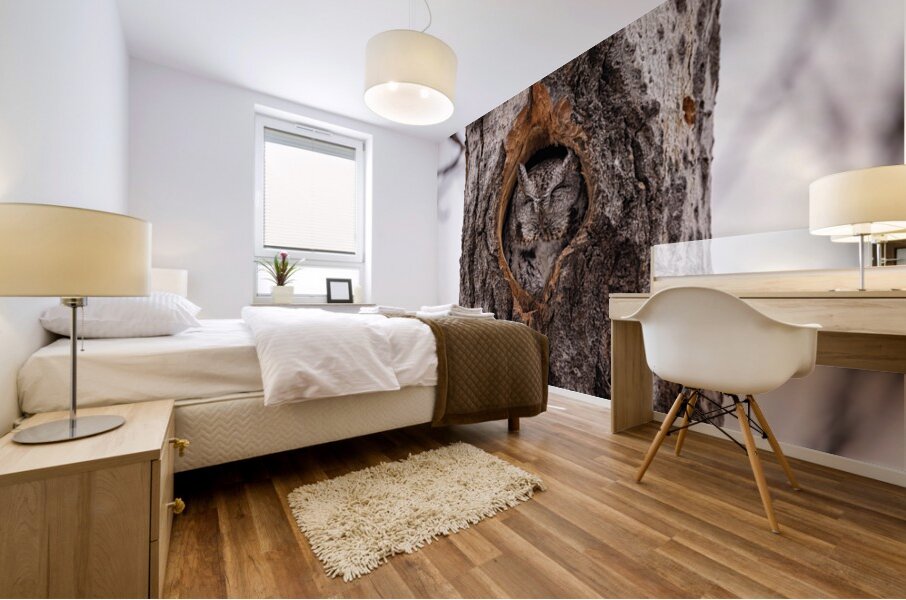 Screech Owl Mural print