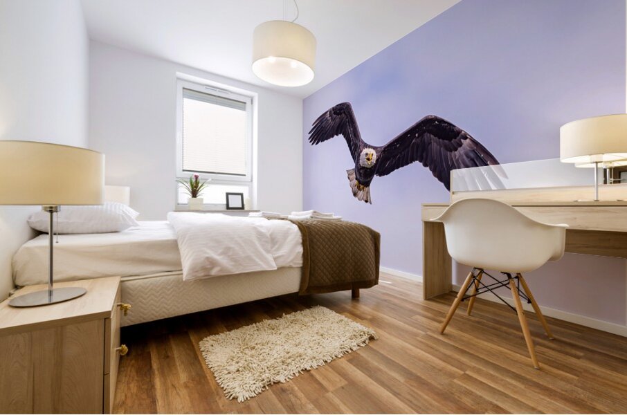 Bald Eagle 3 Mural print