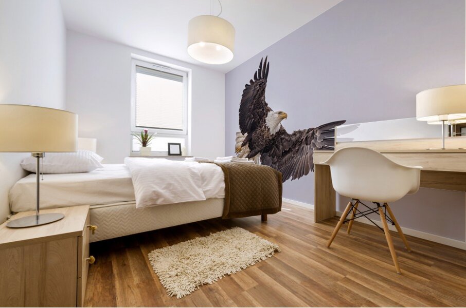 Bald Eagle 4 Mural print