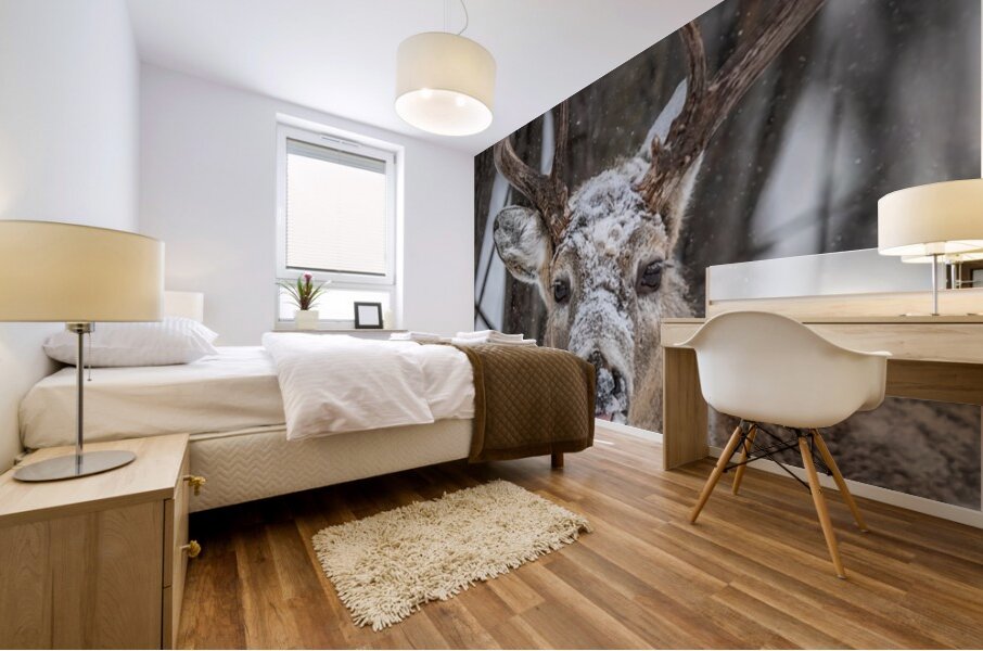 Big Buck Mural print