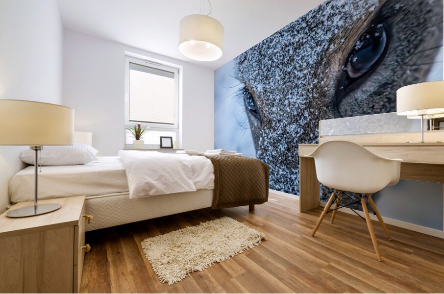 Deer Eye to Eye Mural print