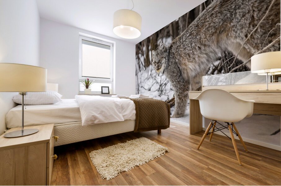 Lynx Mural print