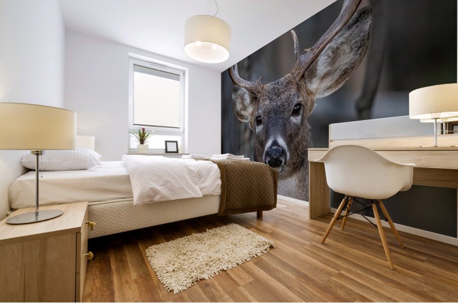 Big Buck 2 Mural print