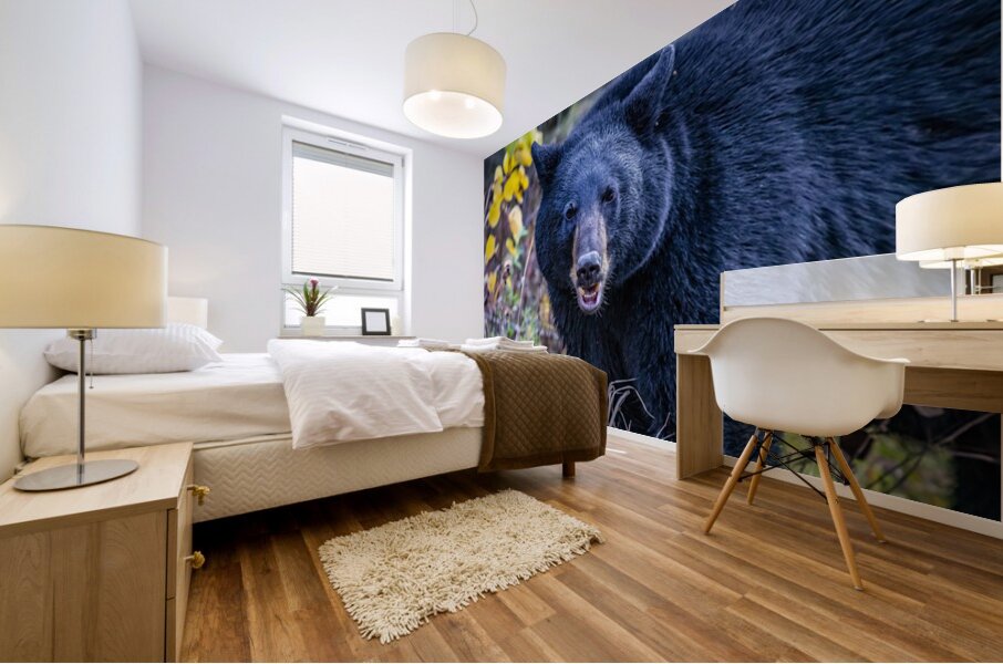 Black Bear Boss Mural print