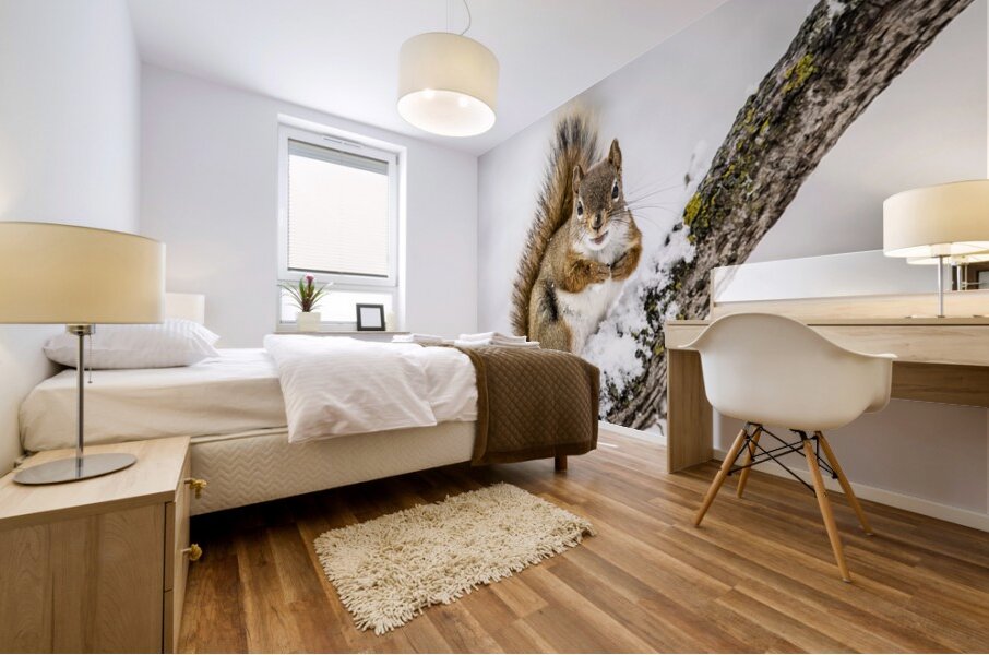 Red Squarel 2 Mural print