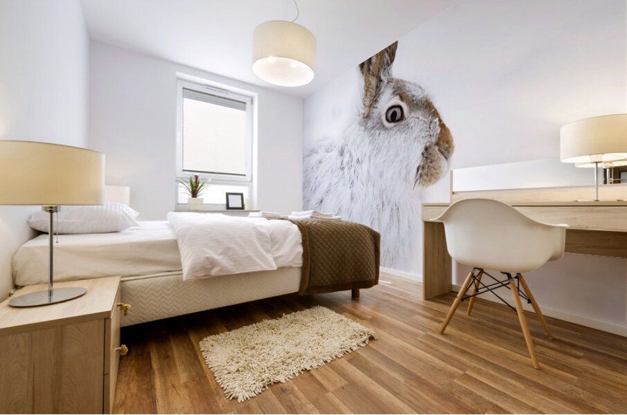 Jack Rabbit Mural print