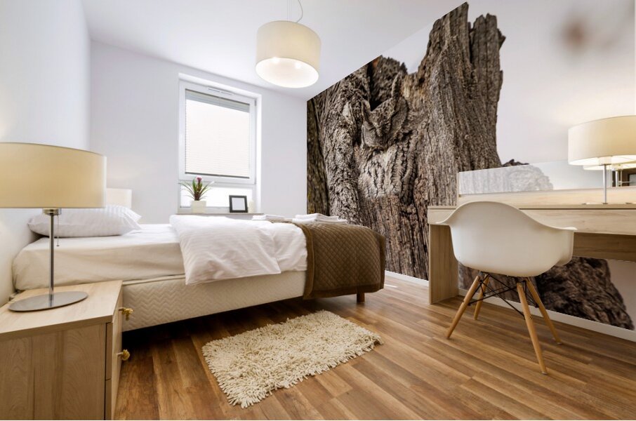 Screech Owl 4 Mural print