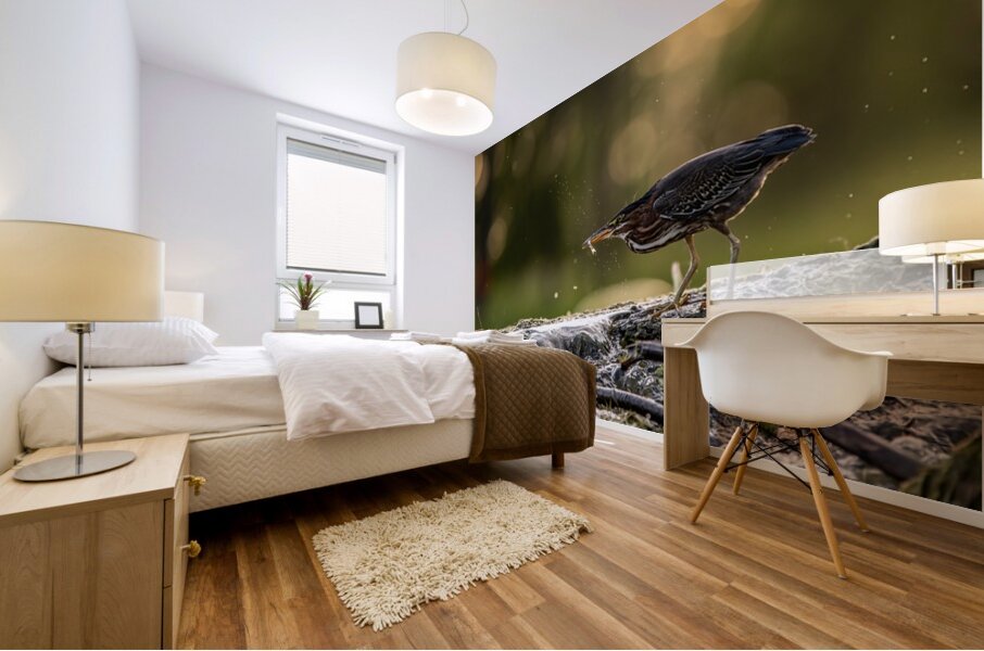 Green Heron Sunset Mural print