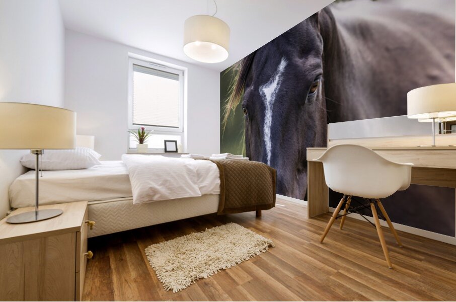 Horse Portrait Mural print