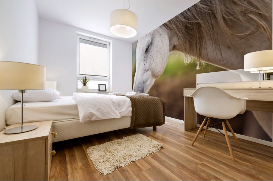 Horse Portrait 2 Mural print