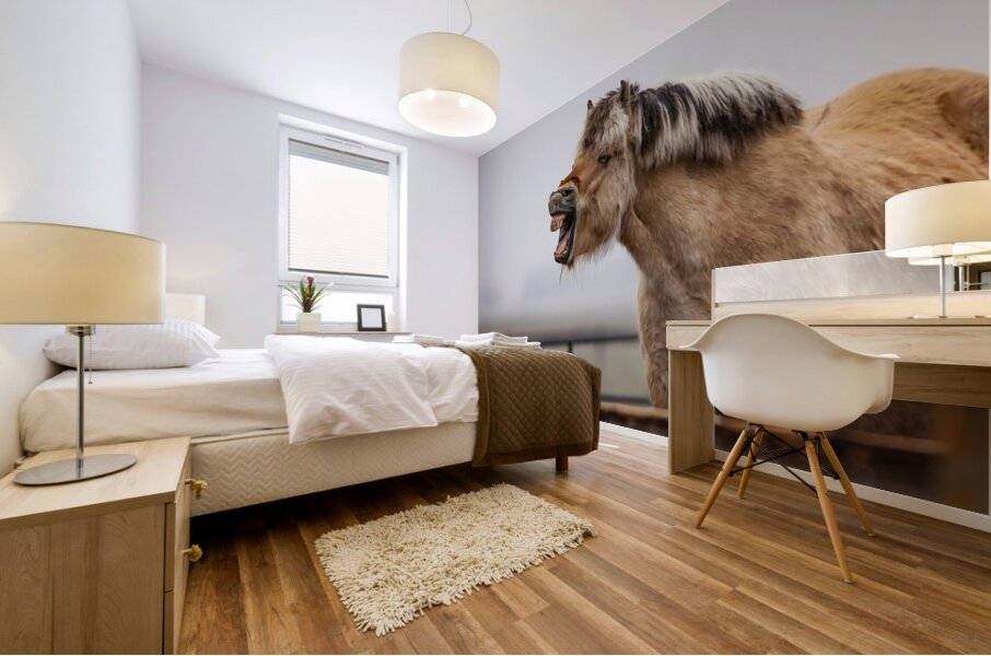 Horse Smile Mural print