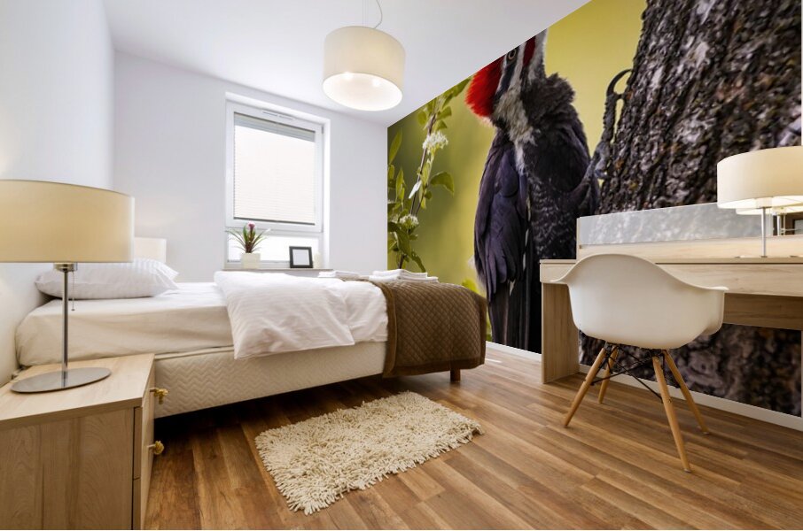 Pileated Woodpecker 2 Mural print