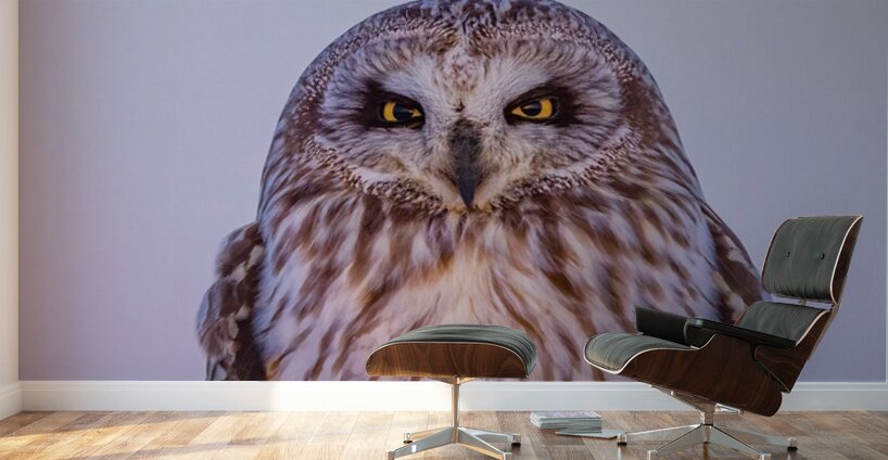 SEO Sunset Wall Murals