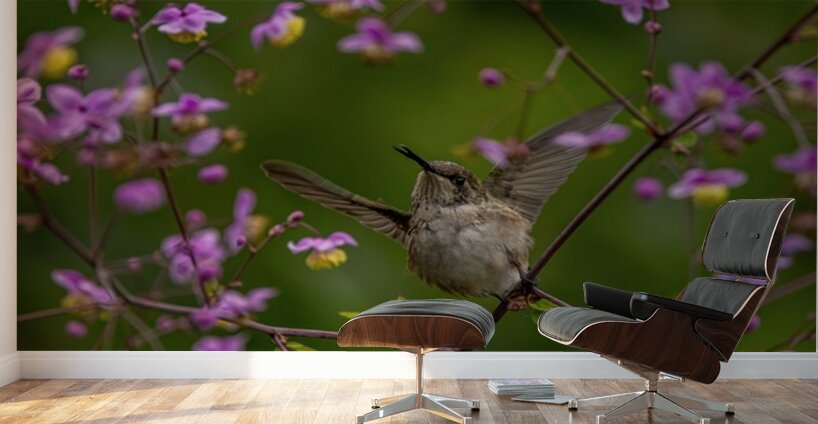 Hummingbird in Flower Frame Wall Murals