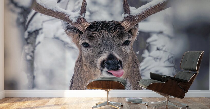 Buck Glancial Blue Wall Murals