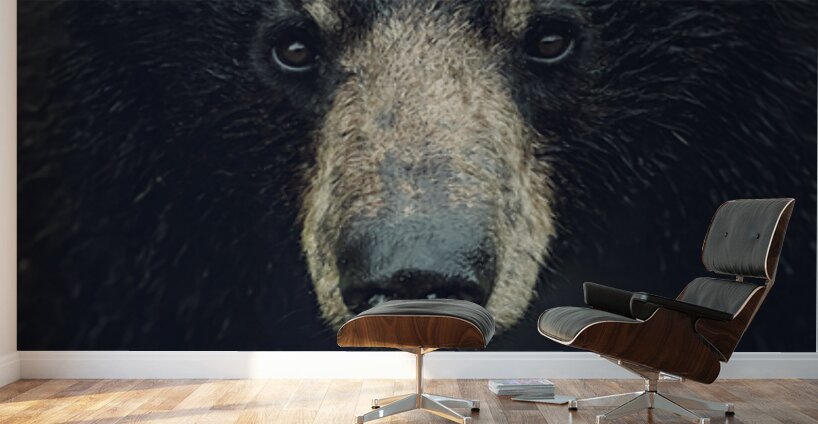 Wild Bear Futuristic Wall Murals