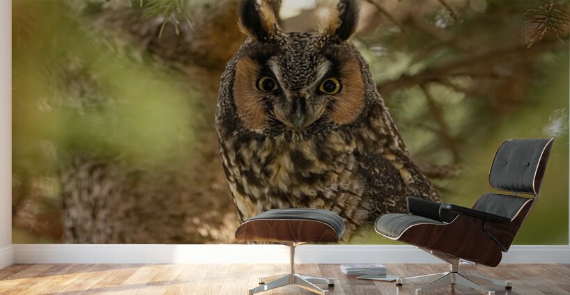 LEO Portrait Wall Murals