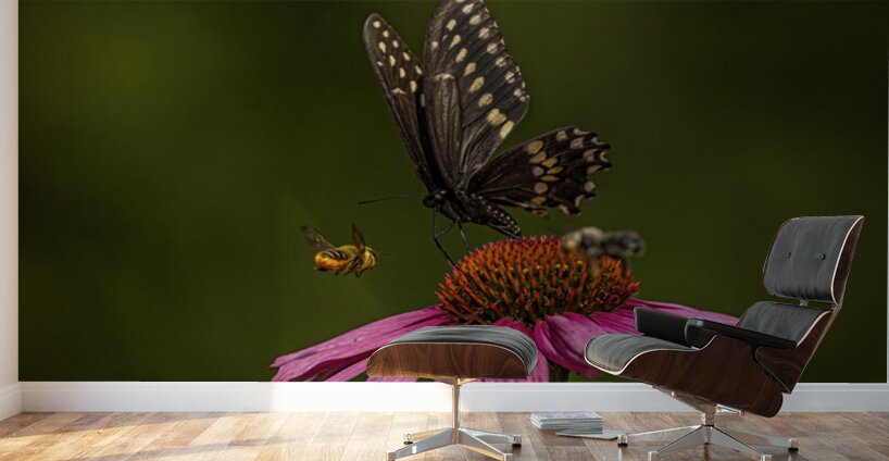 Flower Story Wall Murals