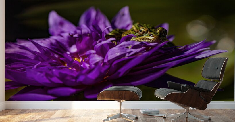 Flower Story 2 Wall Murals