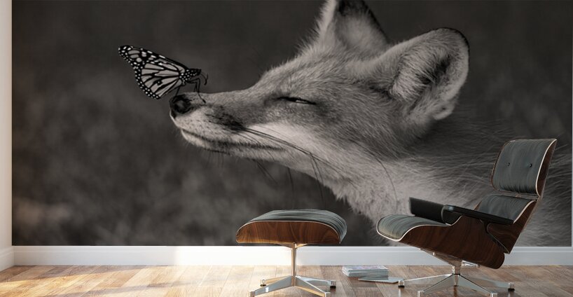 Red Fox with Butterfly BW Wall Murals