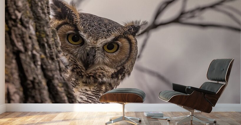 GHO Peekaboo Wall Murals