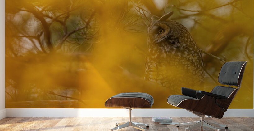 LEO Fall Time Wall Murals