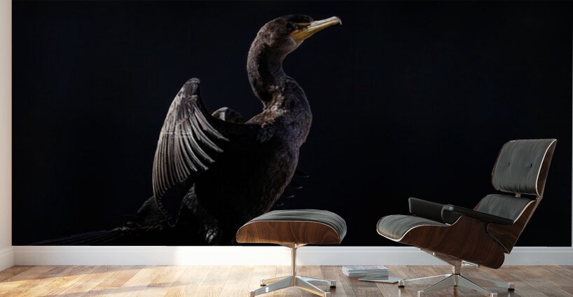 Cormorant Elegant Wall Murals