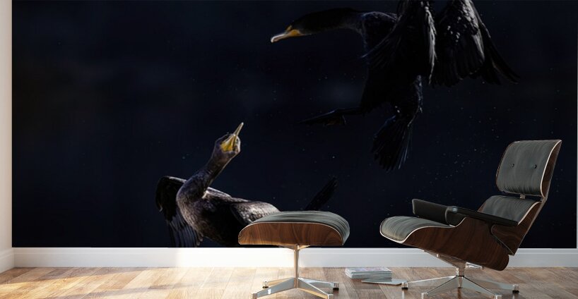 Double Cormorant Wall Murals