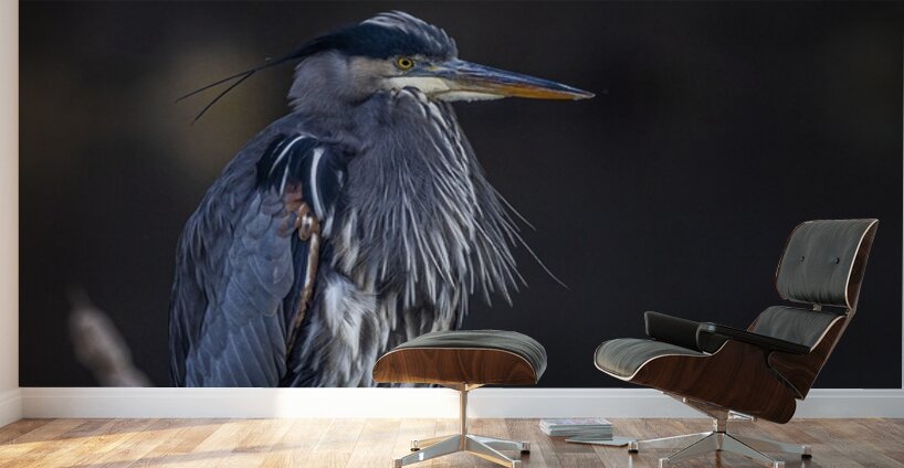 Blue Heron Wall Murals