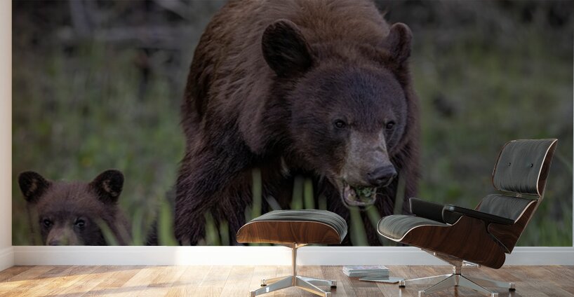 Mom and Cub Wall Murals