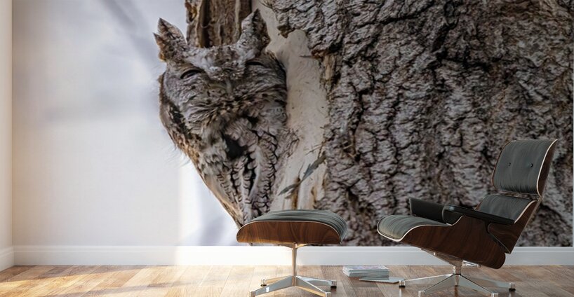 Screech 3 Wall Murals