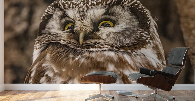 Boreal 2 Wall Murals